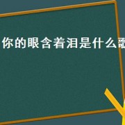 你的眼含着泪是什么歌