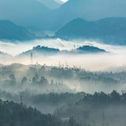 李清照著名诗词