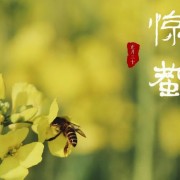 一字开头的诗句优美（一字开头的诗歌）