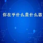 你在乎什么是什么歌