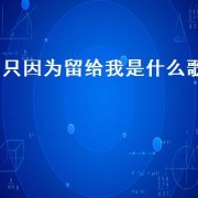 只因为留给我是什么歌（留给自己是什么歌）