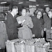 《白蛇传》明明是爱情传说，毛主席看完后为何嚎啕大哭，怒发冲冠