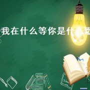 我在什么等你是什么歌