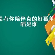 没有你陪伴真的好孤单原唱是谁（没有你陪伴真的好孤单原唱版）