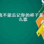 我不能忘记你的样子是什么歌