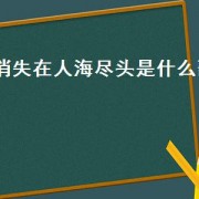 消失在人海尽头是什么歌（消失在风里的身影是什么歌）