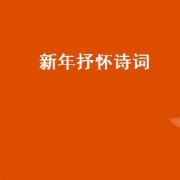 新年抒怀诗词（新年抒怀诗词）
