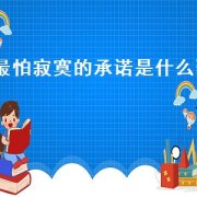 最怕寂寞的承诺是什么歌