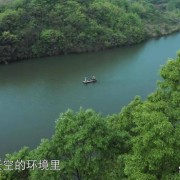 写宫扇的诗词