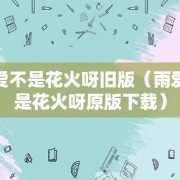 雨爱不是花火呀旧版（雨爱不是花火呀原版下载）
