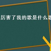 厉害了我的歌是什么歌（厉害了我的歌综艺节目）