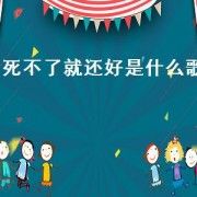 死不了就还好是什么歌