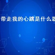 带走我的心跳是什么歌（带走我的心跳是什么意思）