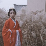 卫子夫｜一曲红袖舞，换得白绫结，平阳相遇，幸，也不幸！