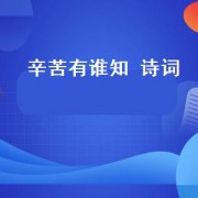 辛苦有谁知 诗词（为谁辛苦为谁甜完整诗词）