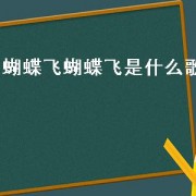 蝴蝶飞蝴蝶飞是什么歌（蝴蝶飞是什么歌里的歌词）