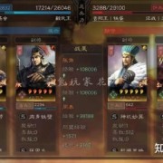 8连杀，张角+法正+周泰。张角的伤害，比庞统、陆逊还稳定，666