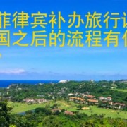 在菲律宾补办旅行证回国之后的流程有什么？