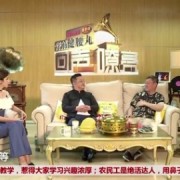 向天再借五百年这首歌，到底说的是康熙还是郑成功？