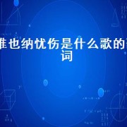 维也纳忧伤是什么歌的歌词（维也纳的忧伤歌曲）