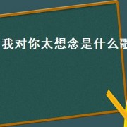 我对你太想念是什么歌