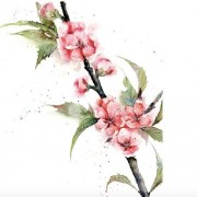 和雷相关诗句（和雷相关诗句）