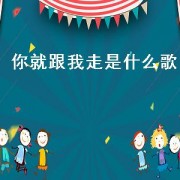 你就跟我走是什么歌