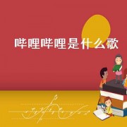 哔哩哔哩是什么歌
