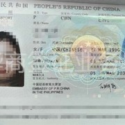 拥有中国公务护照想要进入菲律宾，需不需要办理菲律宾签证？