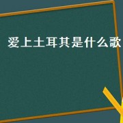 爱上土耳其是什么歌（歌词有土耳其是什么歌）
