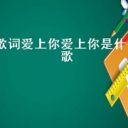 歌词爱上你爱上你是什么歌