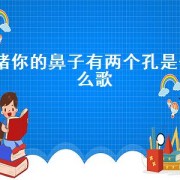 猪你的鼻子有两个孔是什么歌