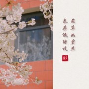诗词对联视频