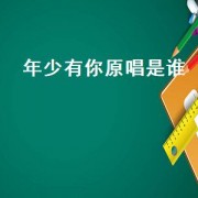 年少有你原唱是谁