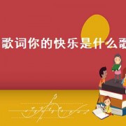 歌词你的快乐是什么歌（歌词中有你是快乐的是什么歌）