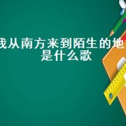 我从南方来到陌生的地方是什么歌（我从南方来到陌生的地方歌词）