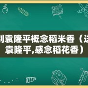 送别袁隆平概念稻米香（送别袁隆平,感念稻花香）