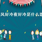 风好冷夜好冷是什么歌