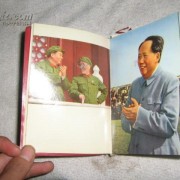 赏桃花 诗词（桃花诗词大全）