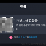 哔哩哔哩车机版APK文件在官网开放下载