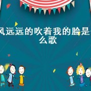 风远远的吹着我的脸是什么歌