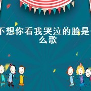 不想你看我哭泣的脸是什么歌（不想再看你哭泣的脸什么歌）