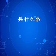 是什么歌