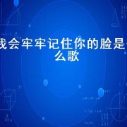 我会牢牢记住你的脸是什么歌