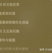 有没有什么小众但很好听的歌推荐？