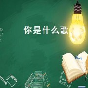 你是什么歌（你是什么电视剧的歌曲）