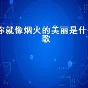 你就像烟火的美丽是什么歌