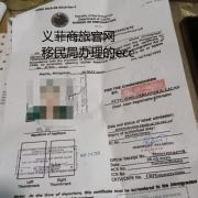 菲律宾超过半年回国没有ecc会怎么样（ecc样本）