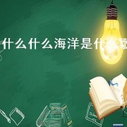 什么什么海洋是什么歌
