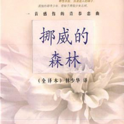 1662.黄金屋176~《挪威的森林》